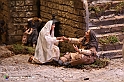 VBS_9670 - Presepe Monumentale della Basilicata